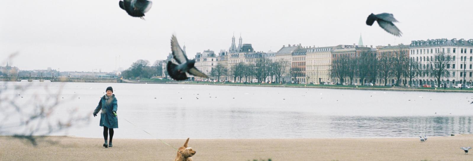 Har du en God idé?